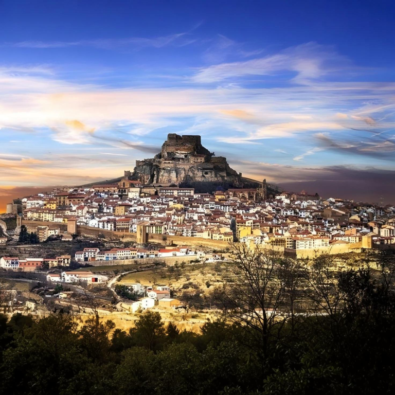 Morella